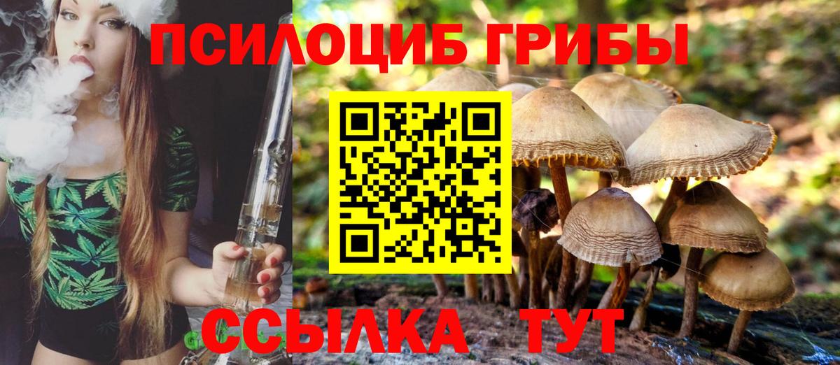 Галлюциногенные грибы мицелий Таганрог