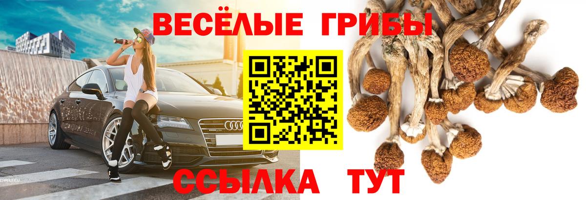 Таганрог  Псилоцибиновые грибы Psilocybe  Вход с VPN  Галлюциногенные грибы Cubensis 